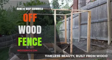 Squirrel-Proof Your Wood Fence: Effective Tips and Tricks