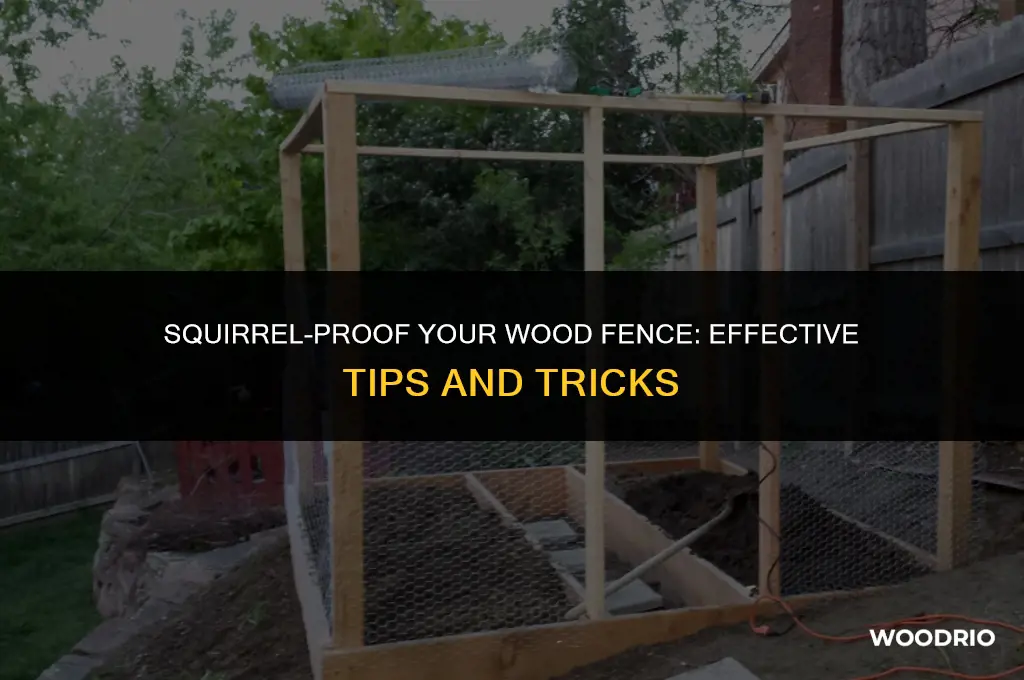 how to keep squirrels off wood fence