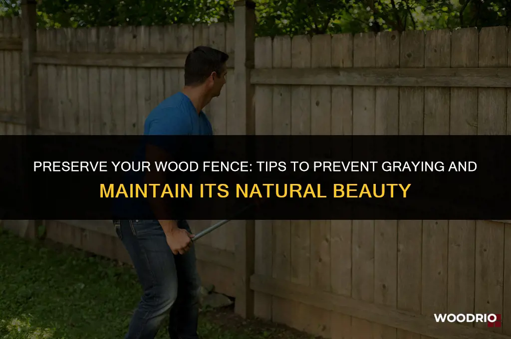 how to keep wood fence from turning gray
