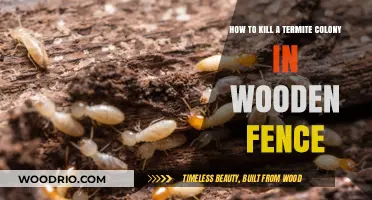 Eradicating Termite Colonies in Wooden Fences: A Comprehensive Guide