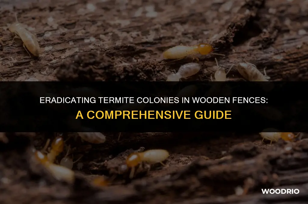 how to kill a termite colony in wooden fence