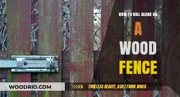 Effective Methods to Eliminate Algae from Your Wooden Fence