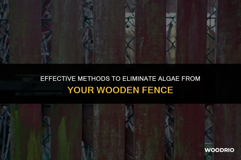 how to kill algae on a wood fence
