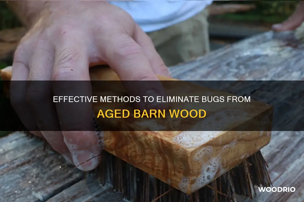 how to kill bugs in old barn wood
