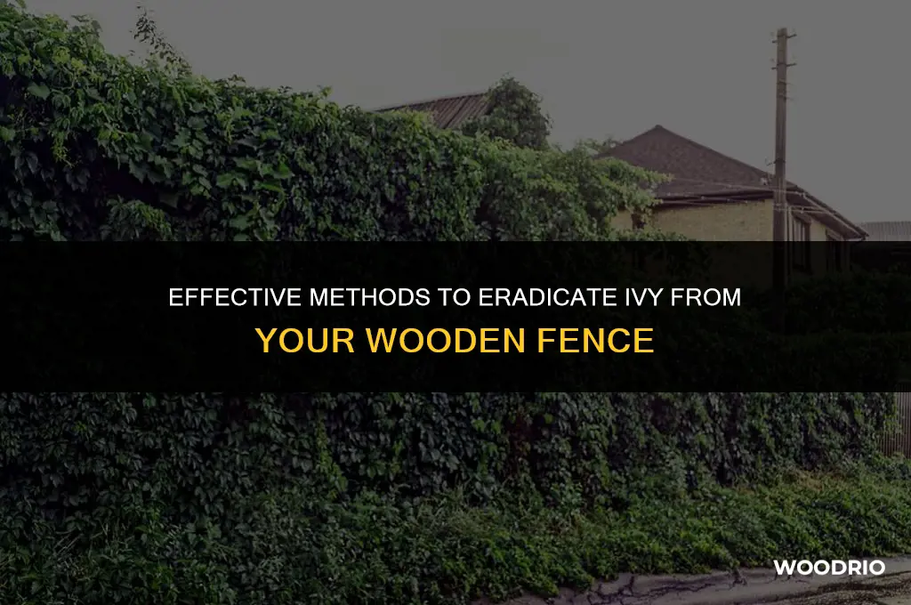 how to kill ivy on a wooden fence