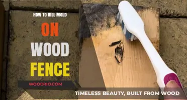 Effective Ways to Eliminate Mold from Your Wooden Fence