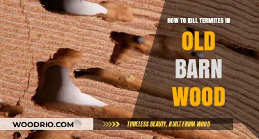 Effective Termite Control: Saving Old Barn Wood from Infestation