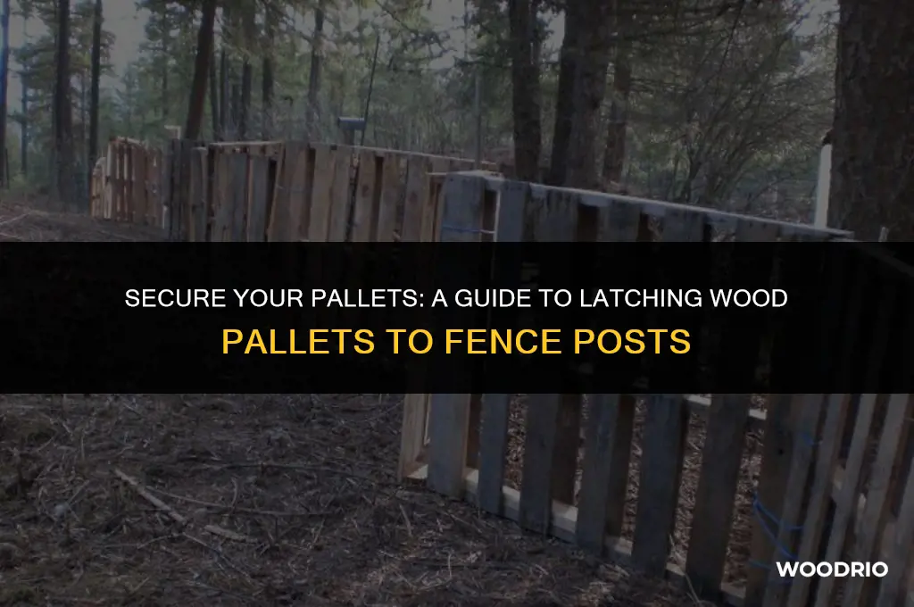 how to latch wood pallets to a fence post