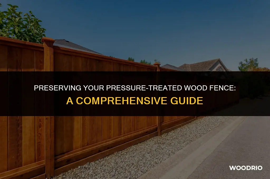 how to maintain pressure treated wood fence