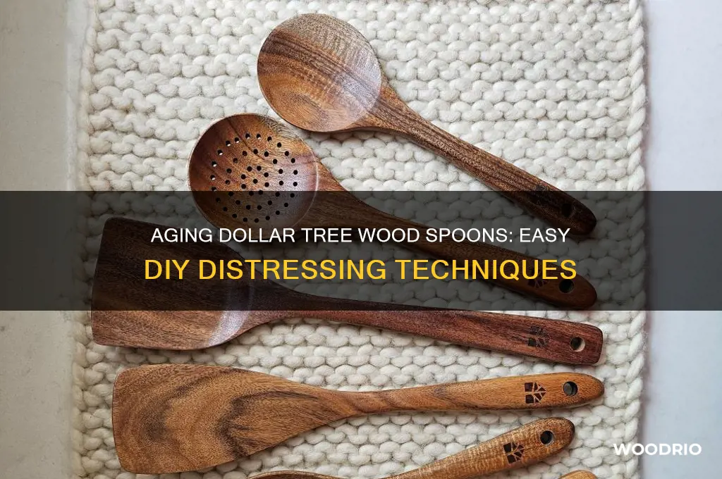 how to make dollar tree wood spoons look old