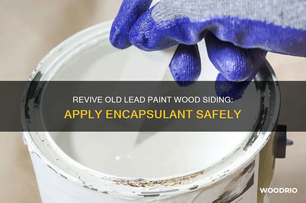 how to ove old lead paiy wood sidigapply an encapsulant