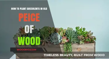 Creative Succulent Planting: Transforming Old Wood into Living Art