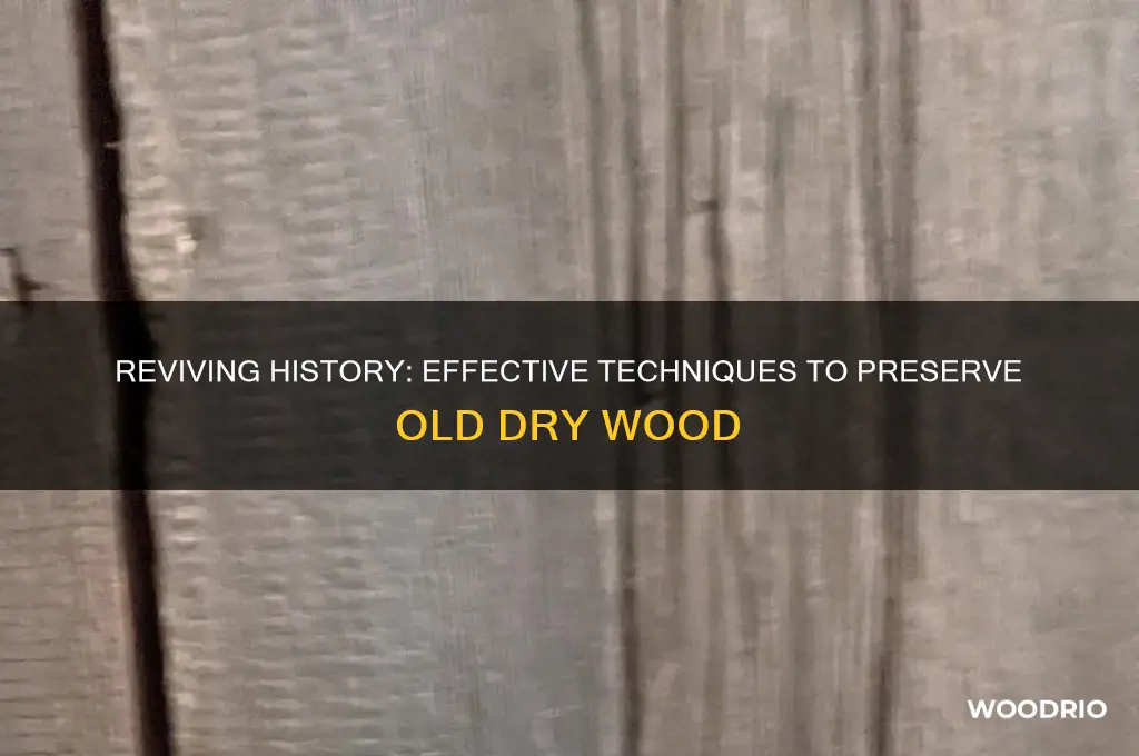 how to preserve old dry wood