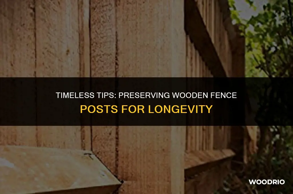 how to preserve wooden fence posts