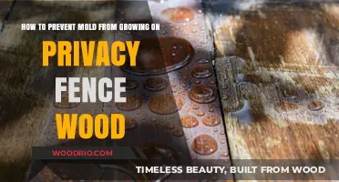 Effective Strategies to Prevent Mold Growth on Privacy Fence Wood