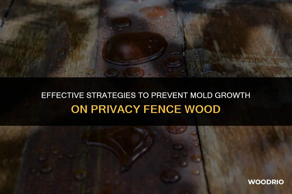 how to prevent mold from growing on privacy fence wood
