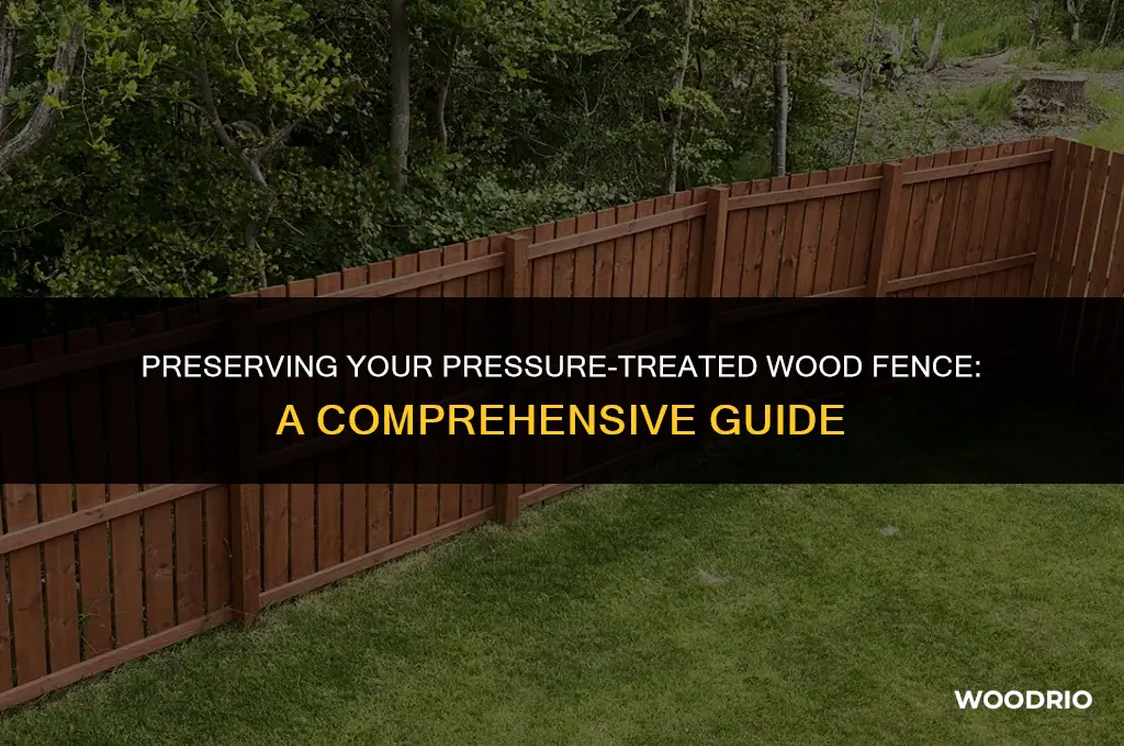 how to protect a pressure treated wood fence