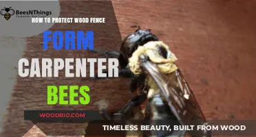 Shielding Your Wood Fence: A Guide to Carpenter Bee Prevention