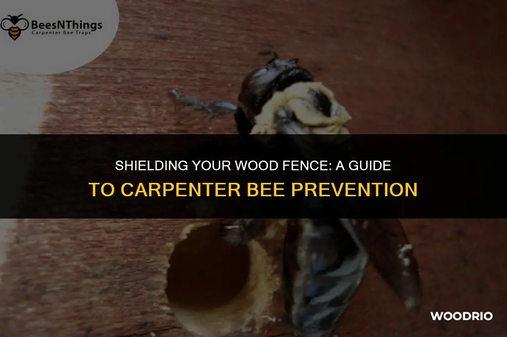 how to protect wood fence form carpenter bees