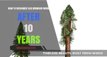 Identifying Aged Redwood: A 10-Year Guide to Recognizing Its Unique Characteristics
