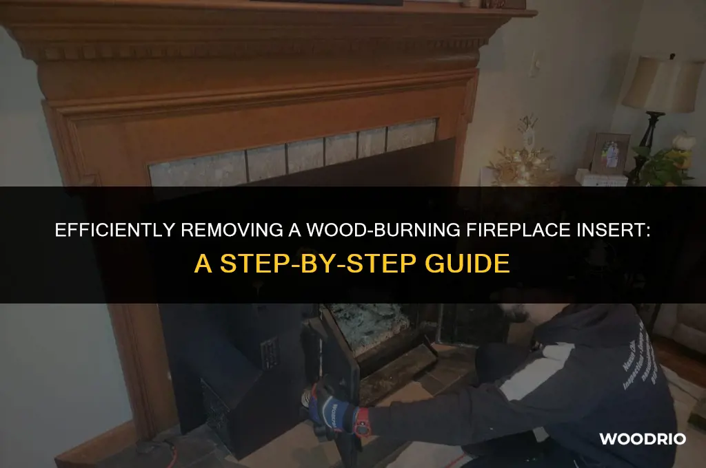 how to remove a wood burning fireplace insert
