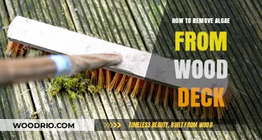 Effective Methods to Remove Algae from Your Wood Deck