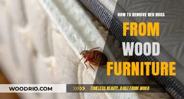 Effective Ways to Eliminate Bed Bugs from Wooden Furniture