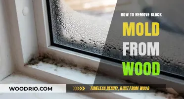 Effective Methods to Eliminate Black Mold from Wood Surfaces