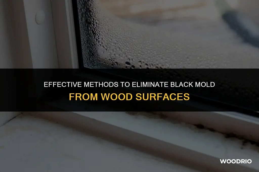 how to remove black mold from wood