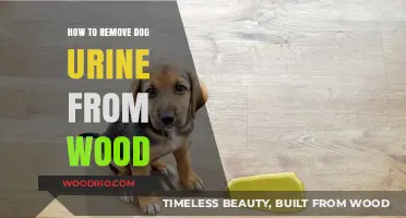 Effective Methods to Eliminate Dog Urine Stains from Wood Surfaces