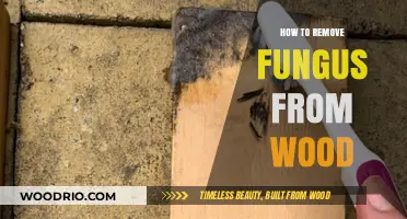 Effective Methods to Eliminate Fungus from Wood Surfaces
