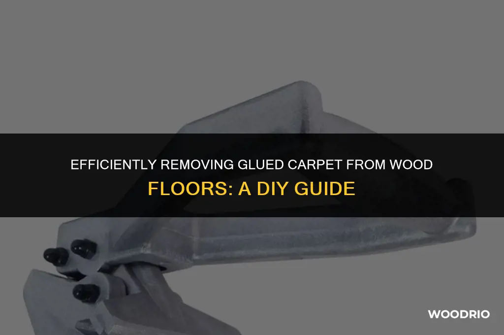 how to remove glued carpet from wood