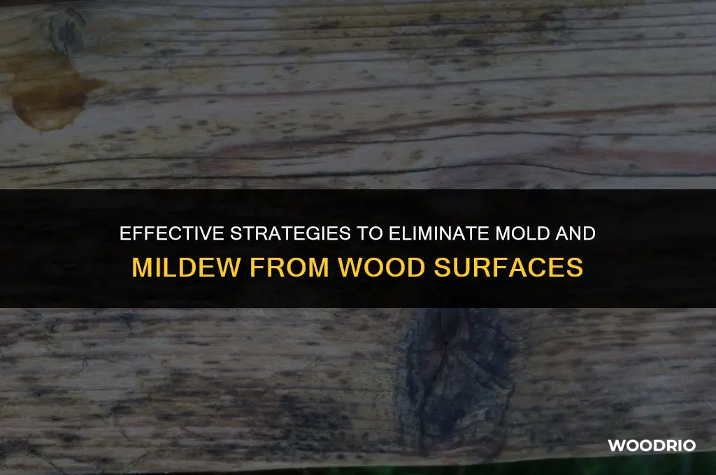 how to remove mold and mildew from wood