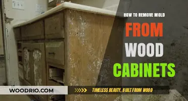 Revive Your Wood Cabinets: A Step-by-Step Guide to Mold Removal