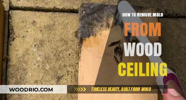 Effective Methods to Eliminate Mold from Wood Ceilings