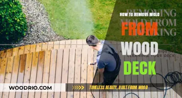 Effective Ways to Remove Mold from Your Wood Deck