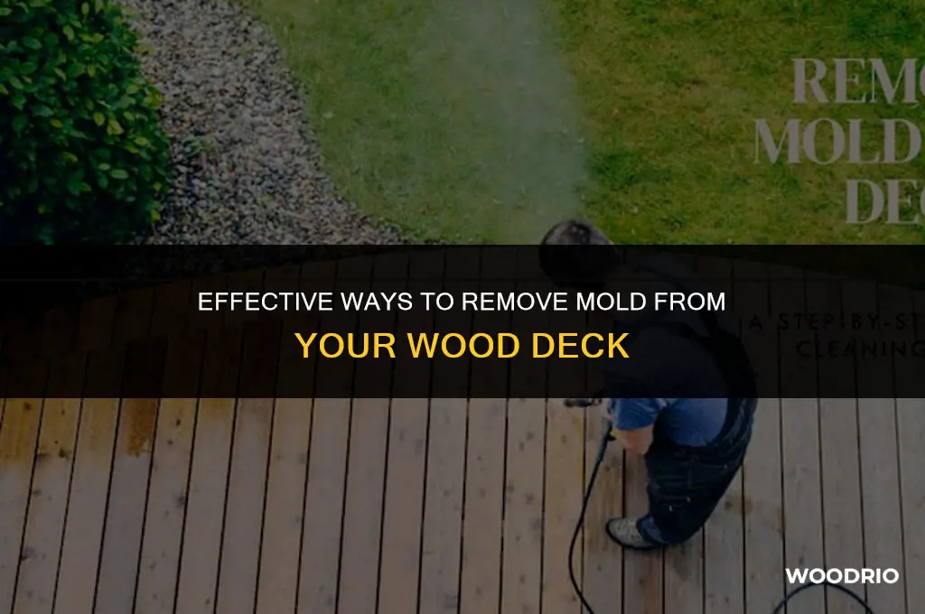 how to remove mold from wood deck