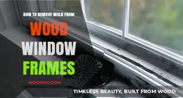 Effective Methods to Eliminate Mold from Wooden Window Frames