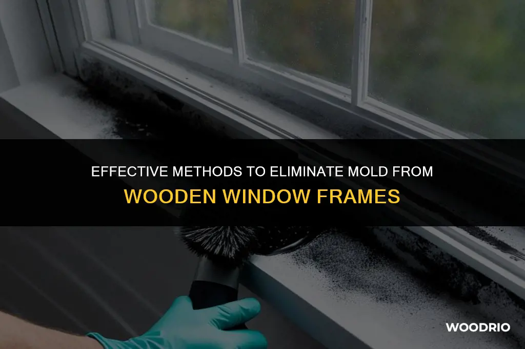 how to remove mold from wood window frames