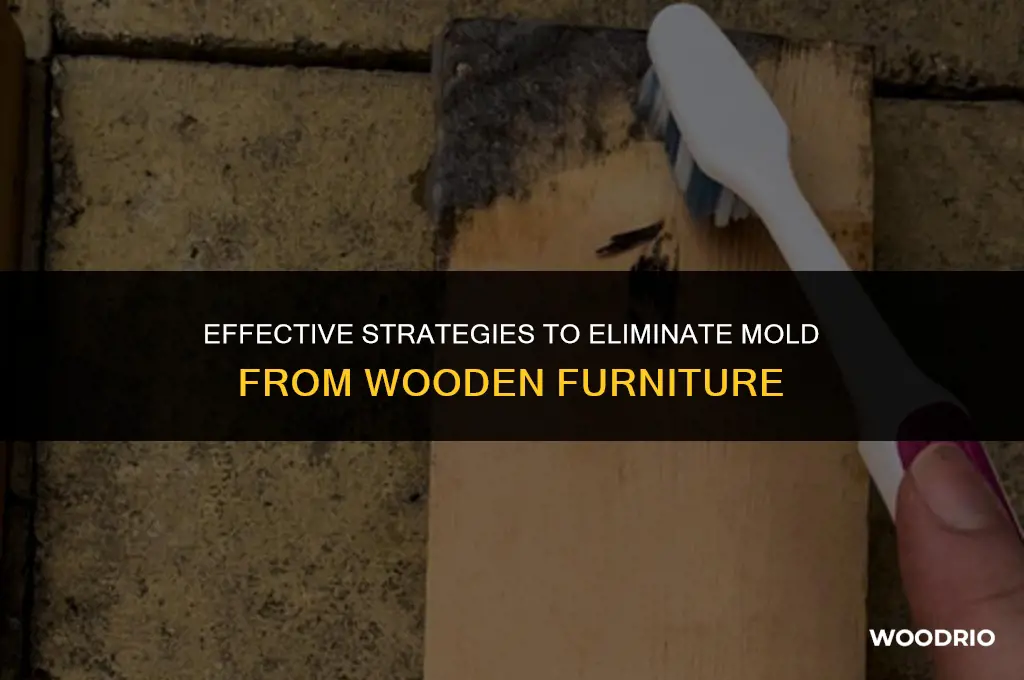 how to remove mold from wooden furniture