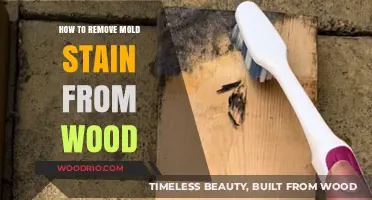 Effective Methods to Eliminate Mold Stains from Wood Surfaces