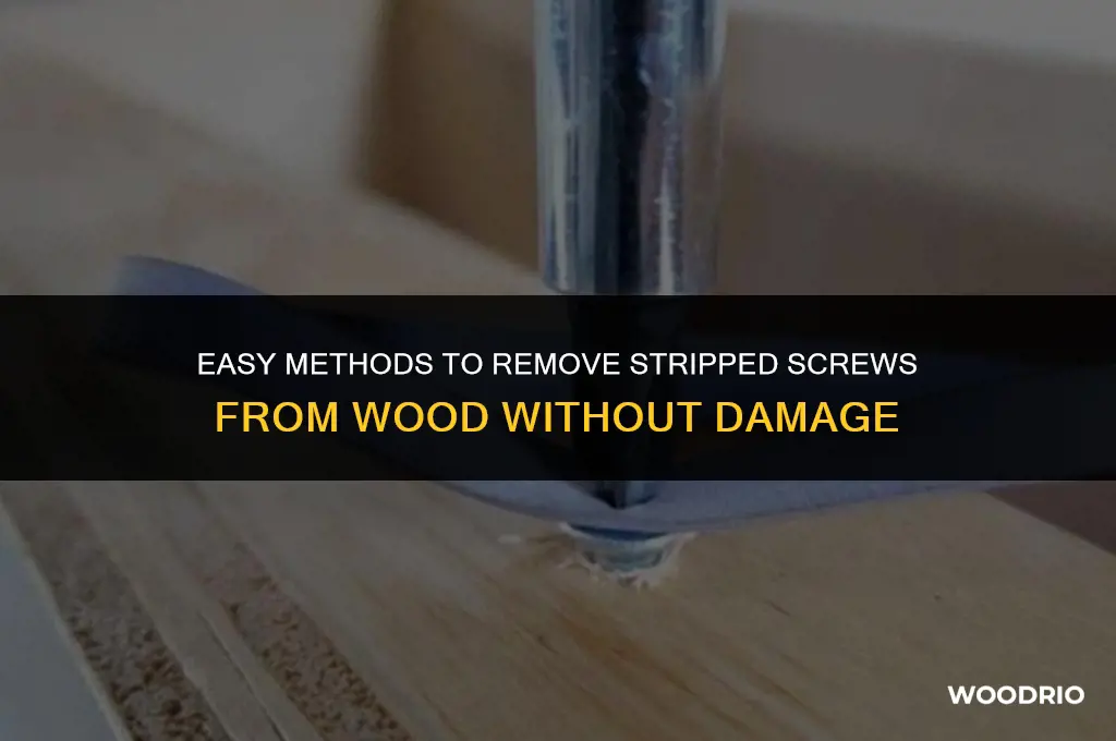 how to remove stripped screws from wood