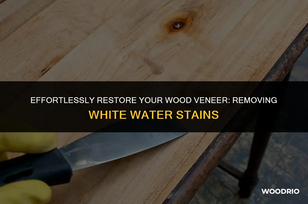 how to remove white water stains from wood veneer