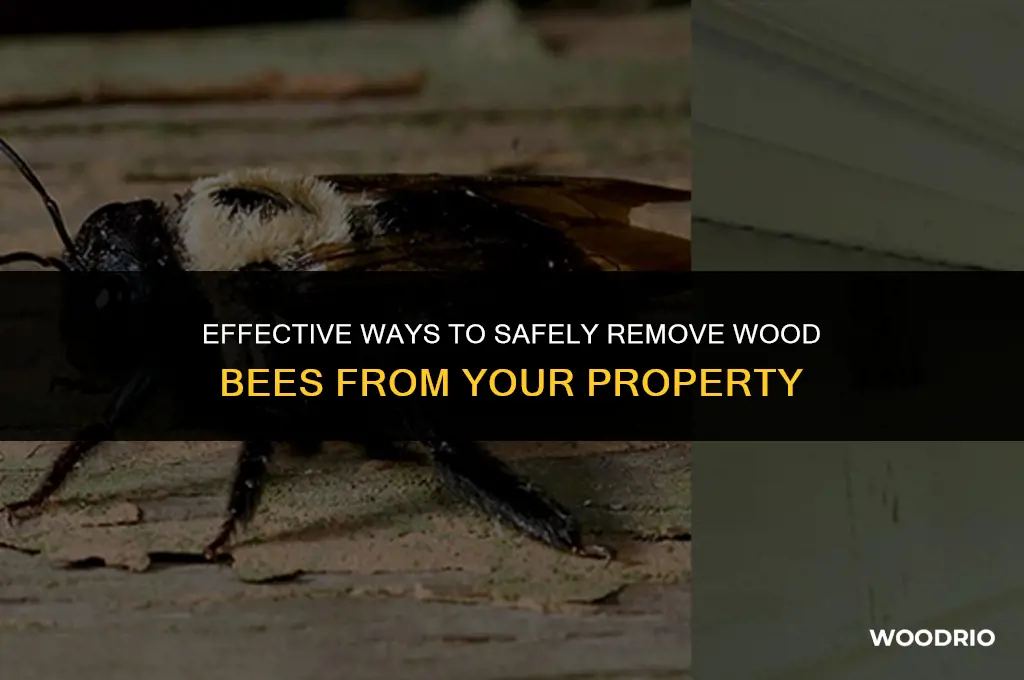 how to remove wood bees