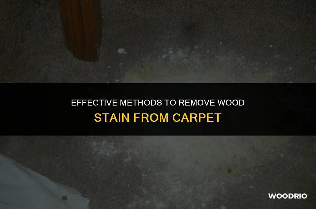 how to remove wood stain from carpet