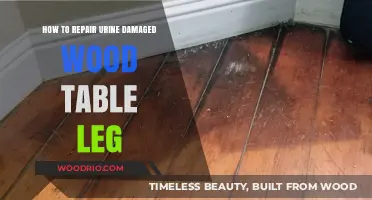 Fixing Urine-Damaged Wood Table Legs: A Step-by-Step Repair Guide