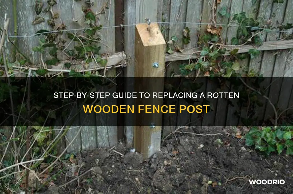 how to replace a wooden fence post