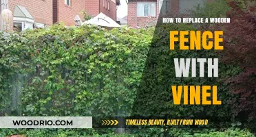 Revamping Your Yard: A Guide to Replacing Wood Fences with Vines