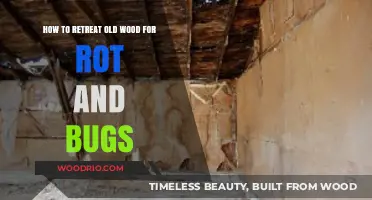 Revive and Protect: Effective Methods to Treat Aged Wood for Decay and Pests