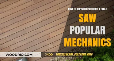 Rip Wood Like a Pro: Table Saw Alternatives from Popular Mechanics